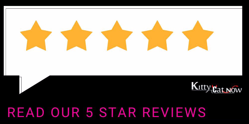 Kitty Cat Now Louisville Reviews