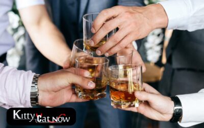 Planning a Bachelor Party in Louisville? Let Kitty Cat Now Handle It All!