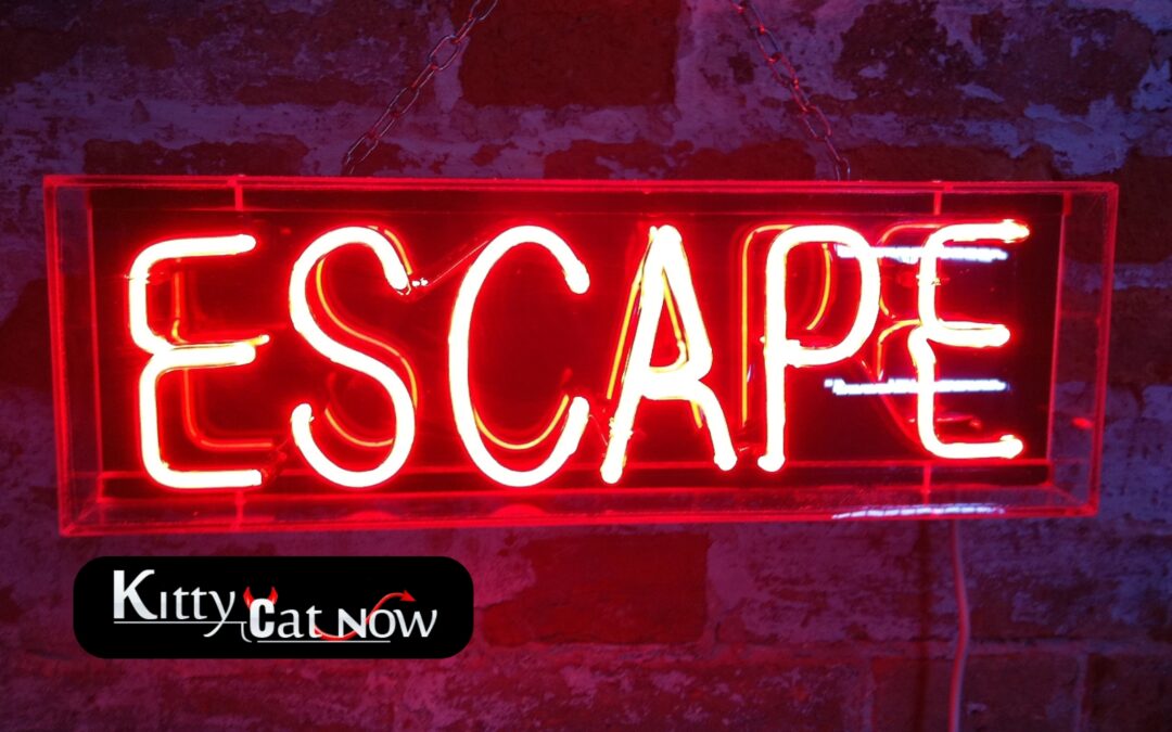 Escape the Ordinary: How to Throw a Bachelor Party He’ll Never Forget in Louisville