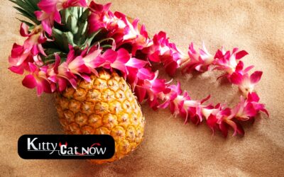 Top 5 Summer Party Themes with Strippers In Louisville