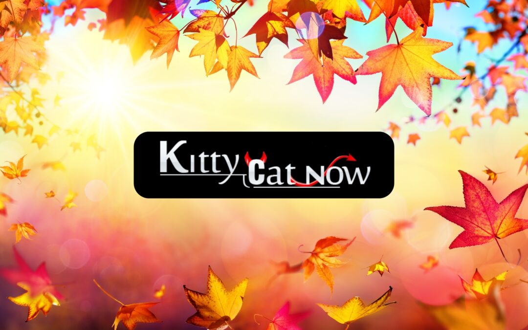 Why Fall Is the Best Season for Bachelor & Bachelorette Parties in Louisville