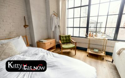 Planning a Private Airbnb Party with Strippers in Louisville