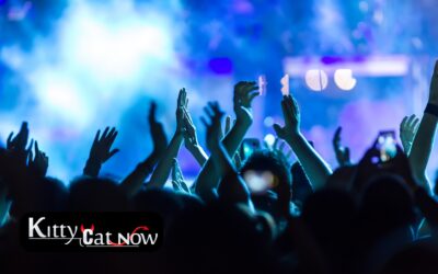 Why Booking Strippers from an Agency Is Safer Than Independents in Louisville