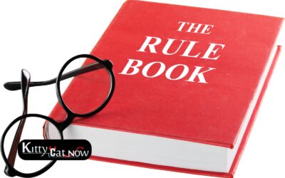 Bachelor Party House Rules in Louisville Before the Strippers Arrive