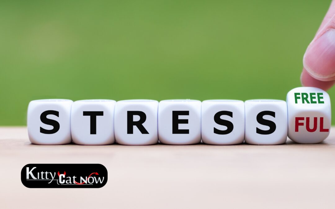 Hosting Private Party Entertainment at Home in Louisville: A Stress-Free Guide