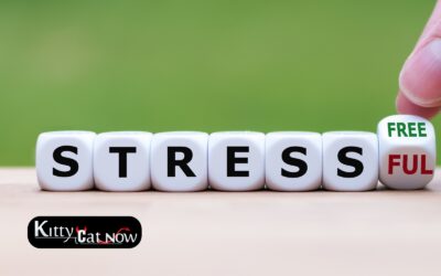 Hosting Private Party Entertainment at Home in Louisville: A Stress-Free Guide