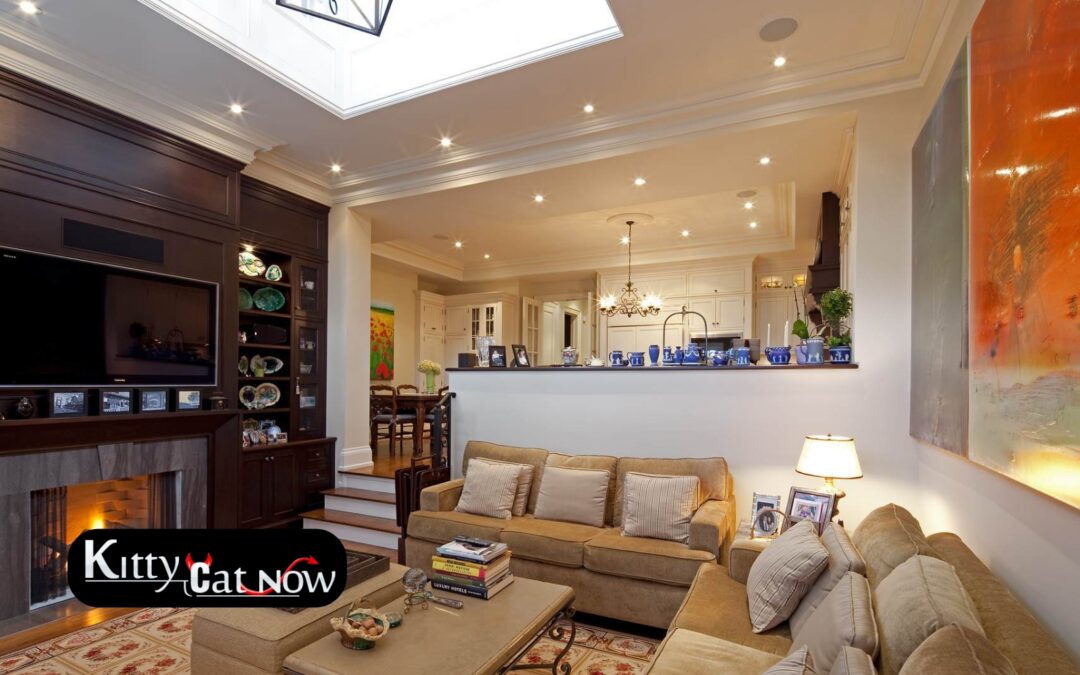 Transforming Your Living Room into a VIP Lounge in Louisville