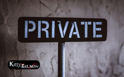 Why Private Party Entertainment Beats the Club Scene in Louisville