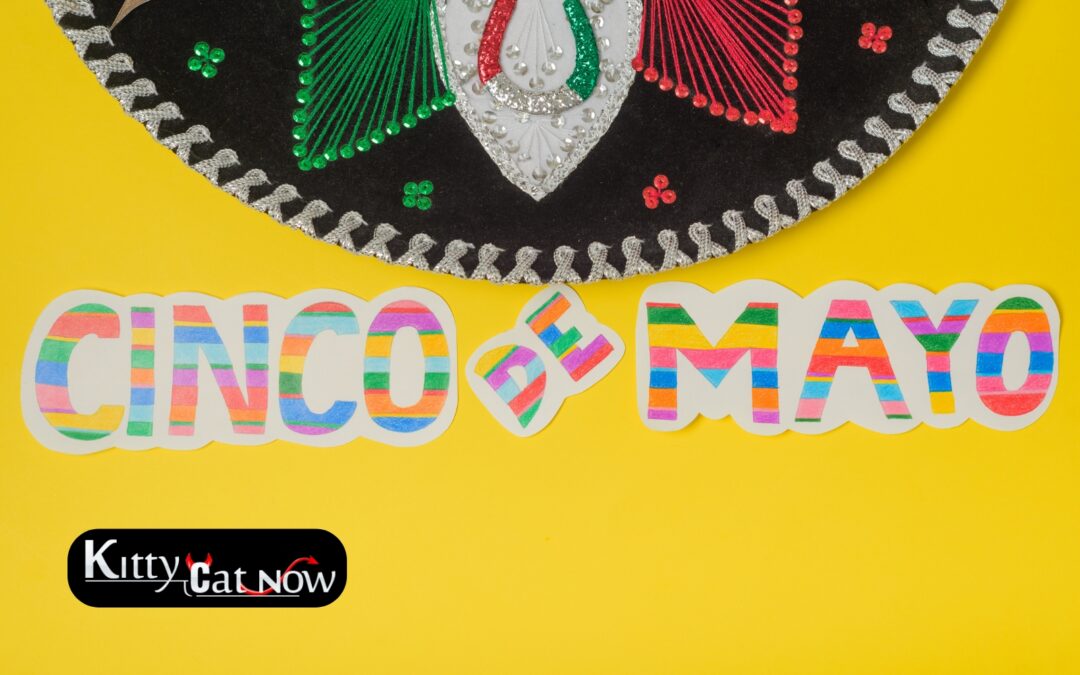 Cinco de Mayo Party Ideas in Louisville: Tacos, Tequila & Private Strippers