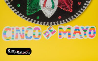 Cinco de Mayo Party Ideas in Louisville: Tacos, Tequila & Private Strippers
