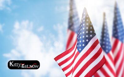 Memorial Day Party Ideas in Louisville with Strippers