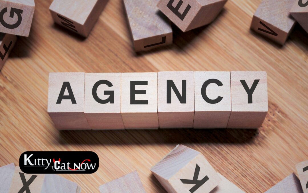 How to Choose a Legit Stripper Agency in Louisville