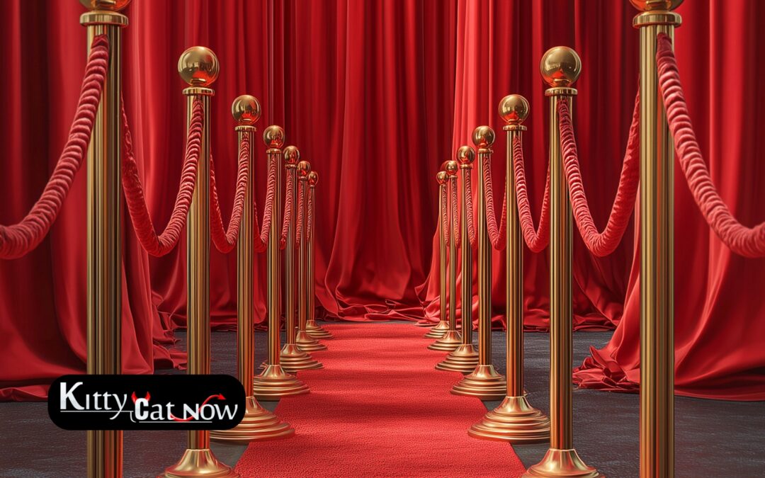 Why Booking Strippers in Louisville Creates a VIP Experience