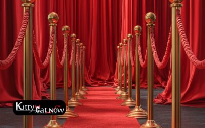 Why Booking Strippers in Louisville Creates a VIP Experience
