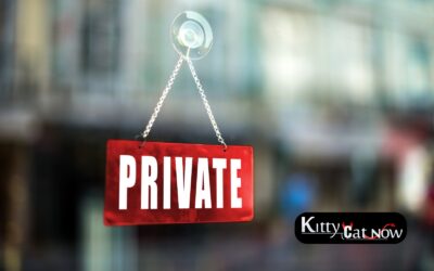 Strippers in Louisville: Why Private Entertainment is the New Standard