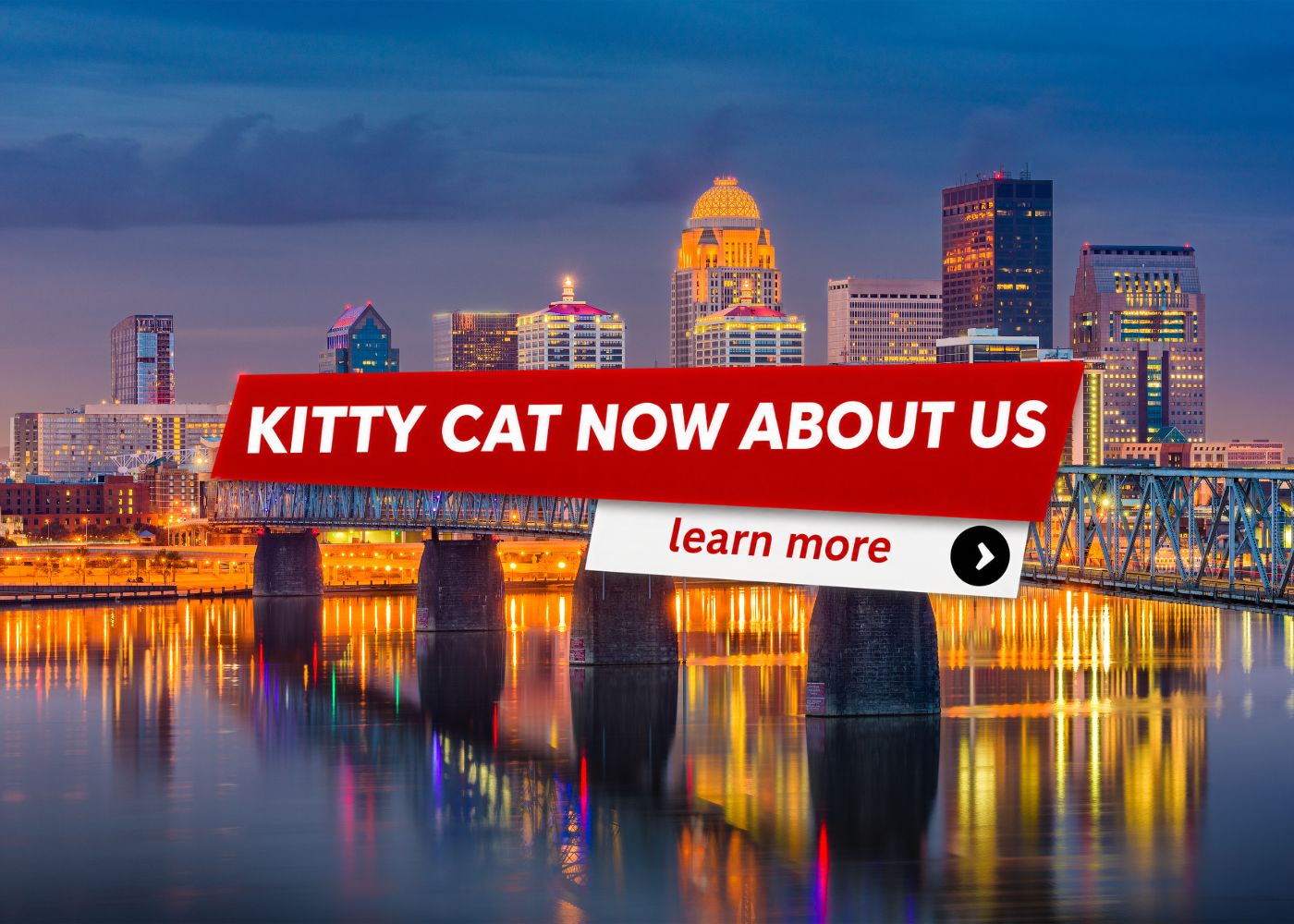Kitty Cat Now -About Us