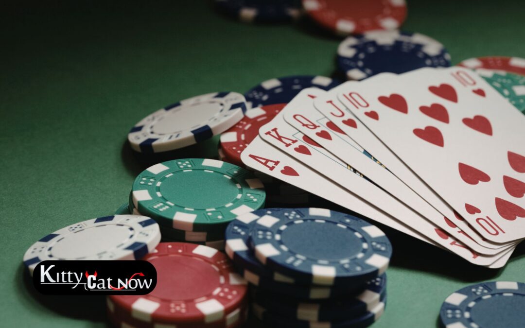 Poker Night Upgrade: Private Entertainment for Your Louisville Home Game