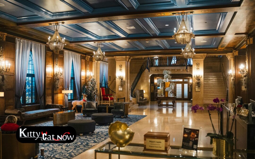 Hotel Suite vs. House Rental: Where to Host Your Louisville Bachelor Party