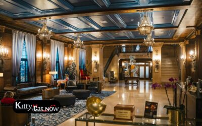 Hotel Suite vs. House Rental: Where to Host Your Louisville Bachelor Party